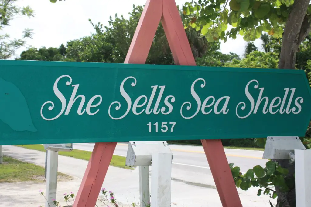 She sells sea shells