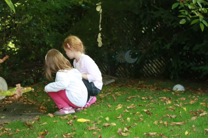 Kinder suchen Walnüsse im herbstlichen Garten