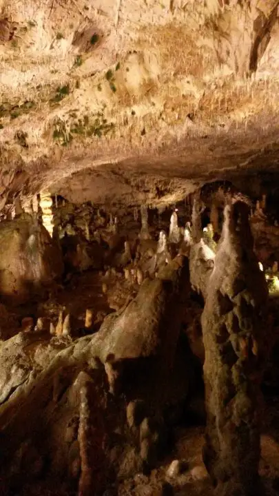 Tropfsteinlandschaft in der Bärenhöhle auf der Schwäbischen Alb