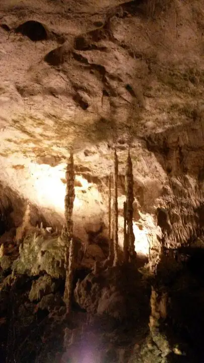 Die märchenhafte Welt der Tropfsteine in der Bärenhöhle