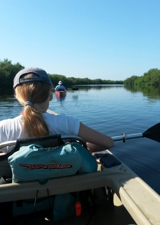 Flusslauf in den Everglades, Kajak-Tour