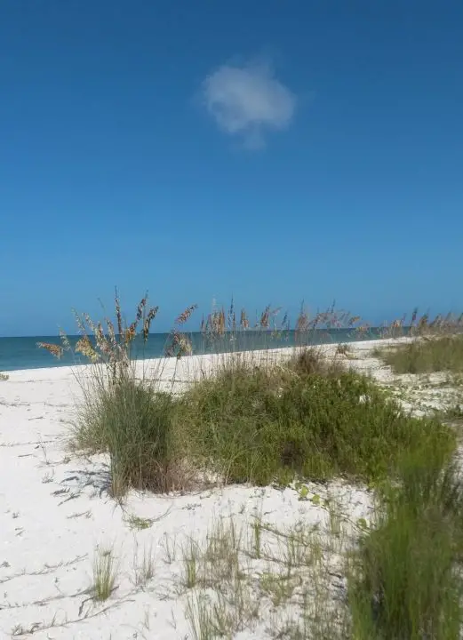 weißer Traumstrand auf einer einsamen Insel vor Marco Island, Florida, Dolphin Explorer