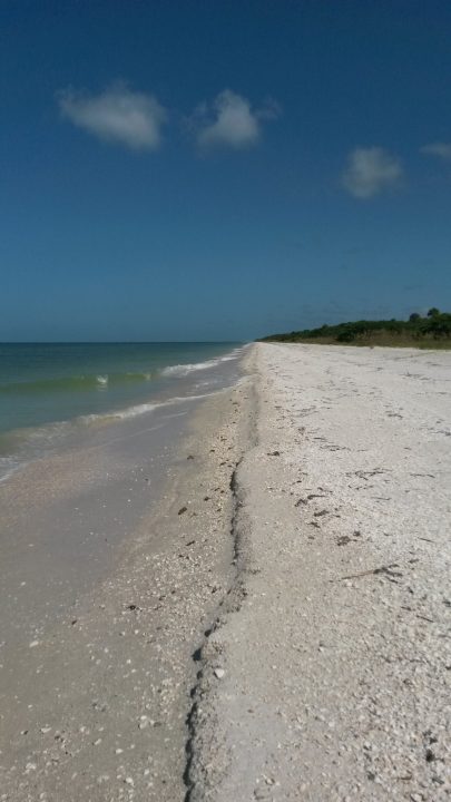 Weißer Sandstrand auf einer Insel vor Marco Island, Florida, Dolphin Explorer