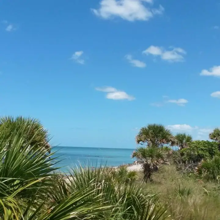 Ein langer Steg führt entlang des Strandes von Venice Beach, Florida, Haifischzähne