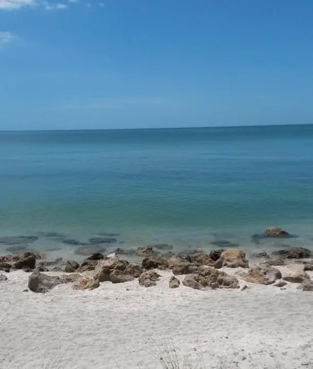 Einsamer Strand in Venice Beach, Florida, Haifischzähne