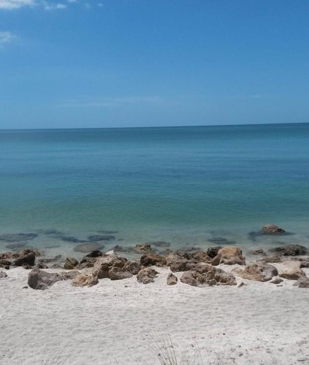 Einsamer Strand in Venice Beach, Florida, Haifischzähne