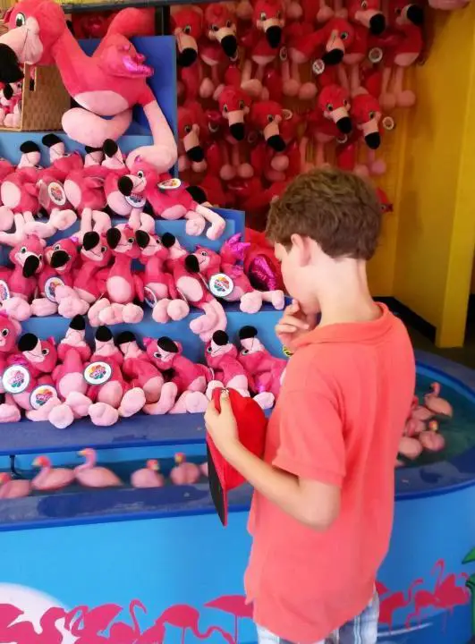 Flamingo Spiel in Busch Gardens, Tampa, Florida