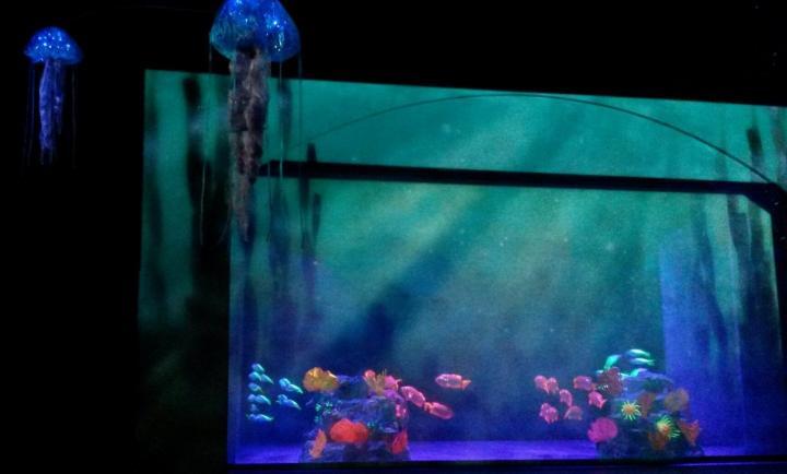 Zauberhafte Unterwasserwelt bei der Eisshow in Busch Gardens Tampa, Florida