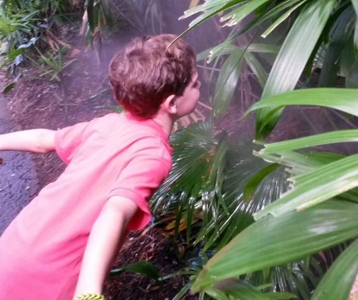 Erfrischung im Dschungel in Busch Gardens, Tampa, Florida