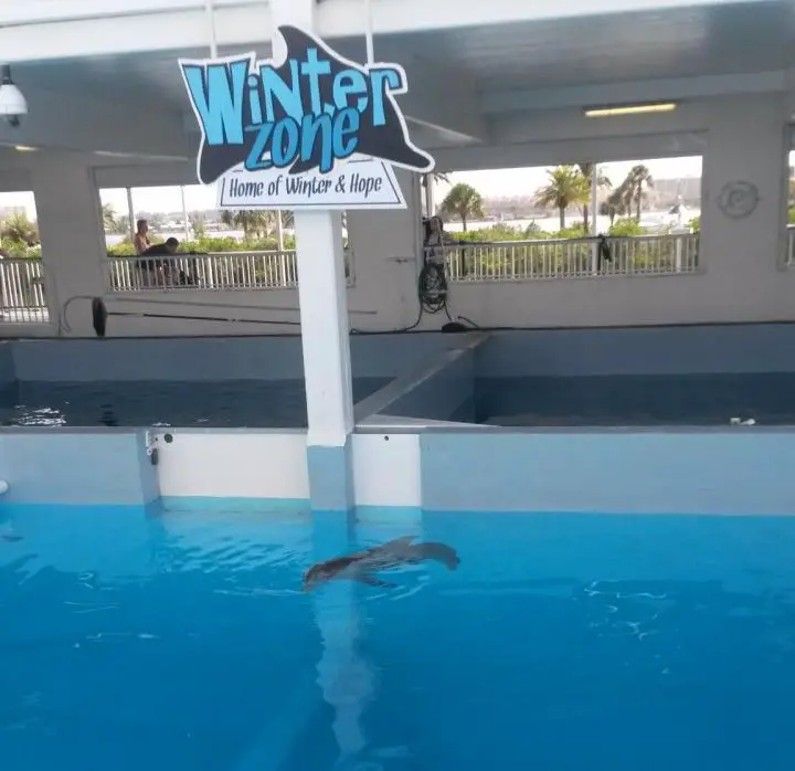 Winter zone im Clearwater Marine Aquarium in Florida