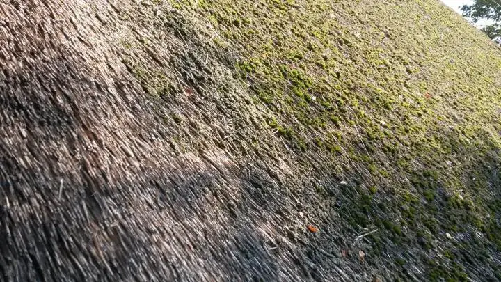 Typisches strohbedecktes Dach eines Schwarzwaldhauses, Vogtsbauernhof, Schwarzwald