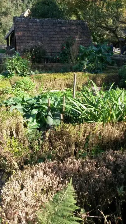 Bauerngarten, Vogtsbauernhof, Schwarzwald