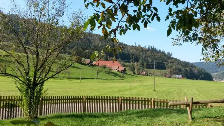 Schwarzwald Landschaft bei Gutach