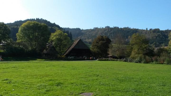 Alter Schwarzwald Bauernhof, Vogtsbauernhof 