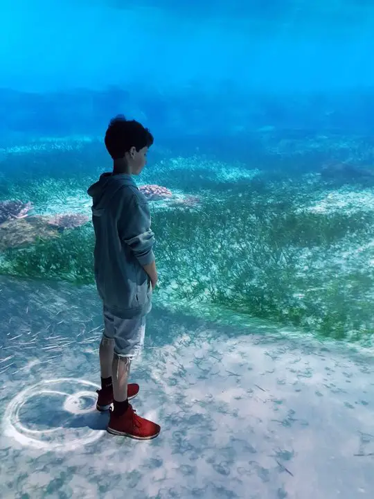 Junge spaziert auf dem Meeresgrund im National Geographic Encounter Ocean Odyssey