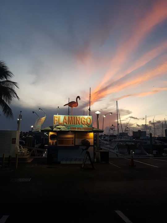 Marina Fort Lauderdale