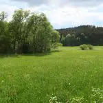 Wandern mit Kindern auf der Schwäbischen Alb: das Fehlatal bei Neufra/Hohenzollern