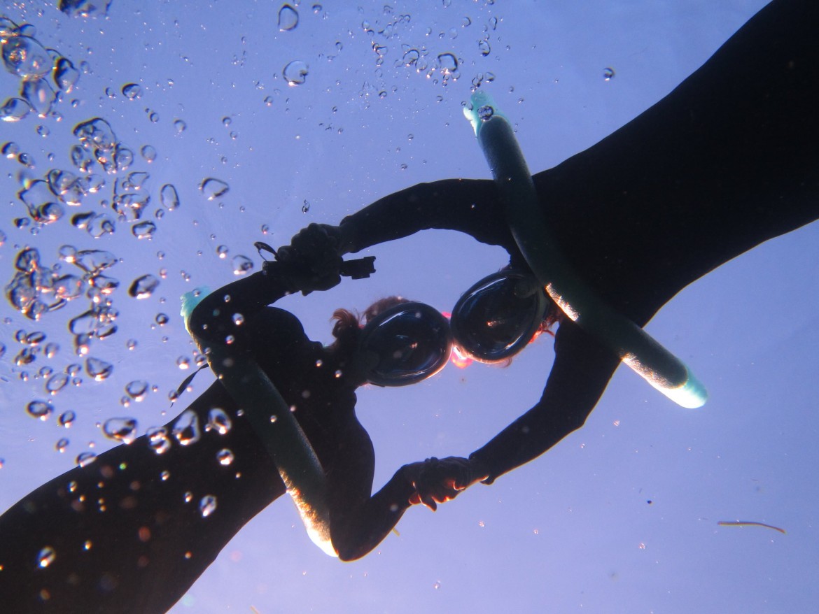 Mit Manatees schwimmen