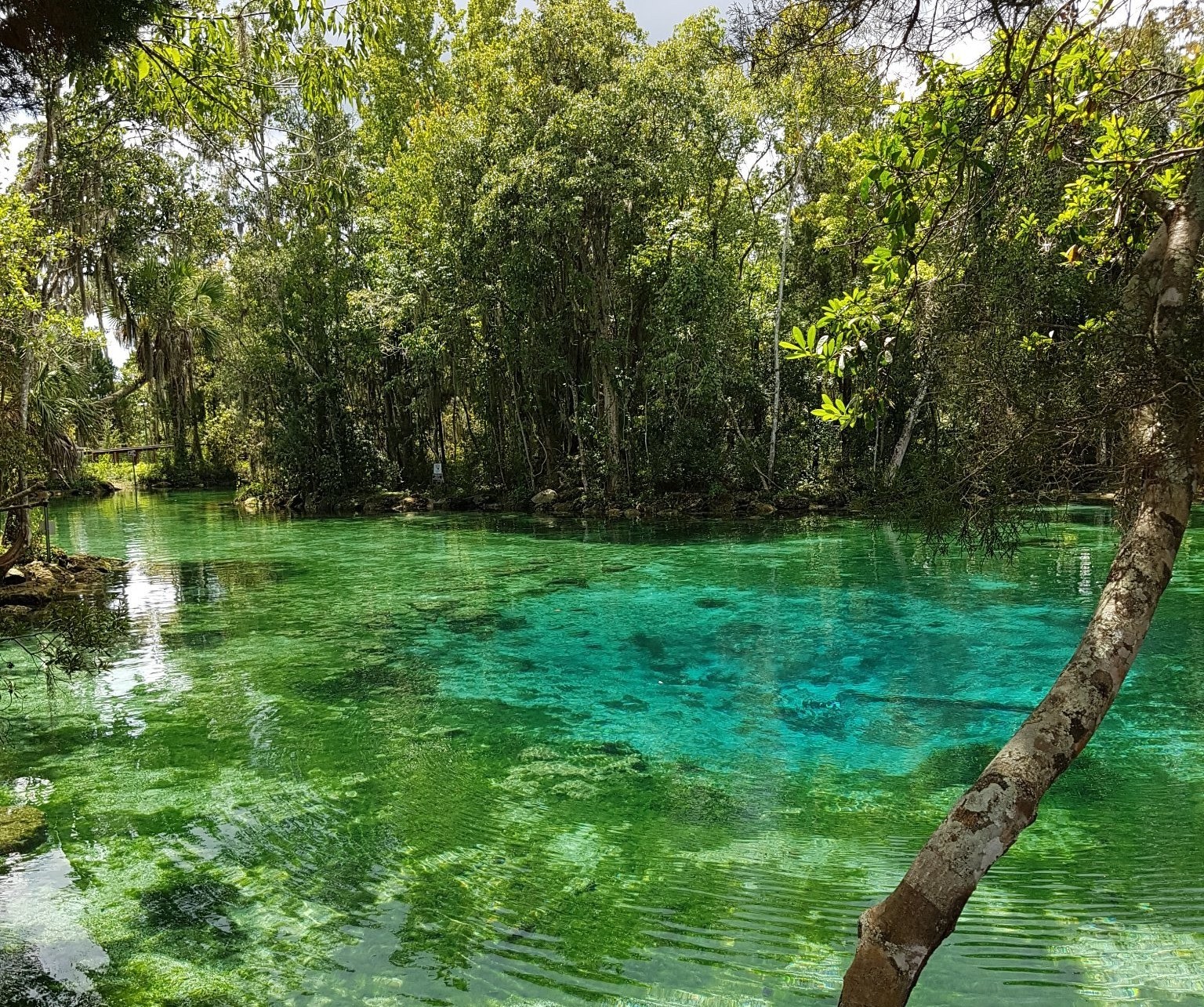 Rainbow River