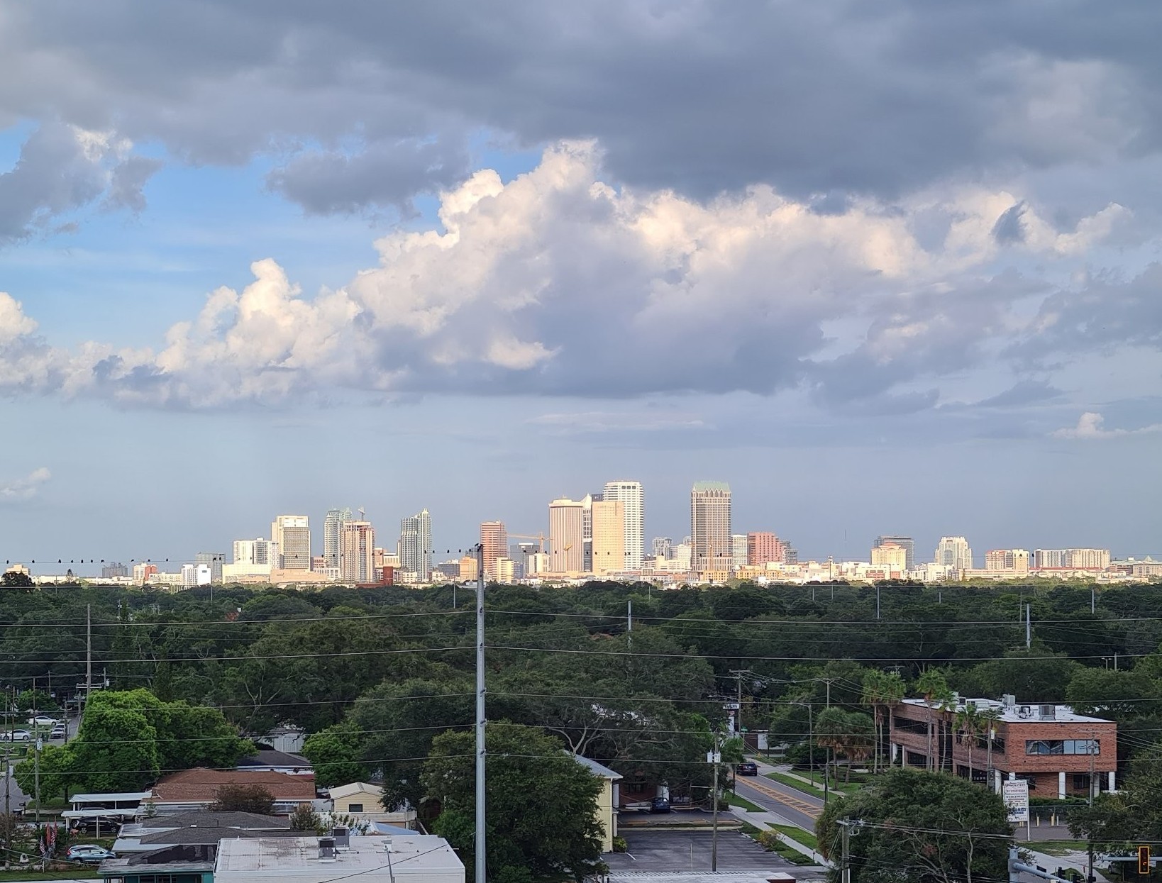 Tampa Skyline