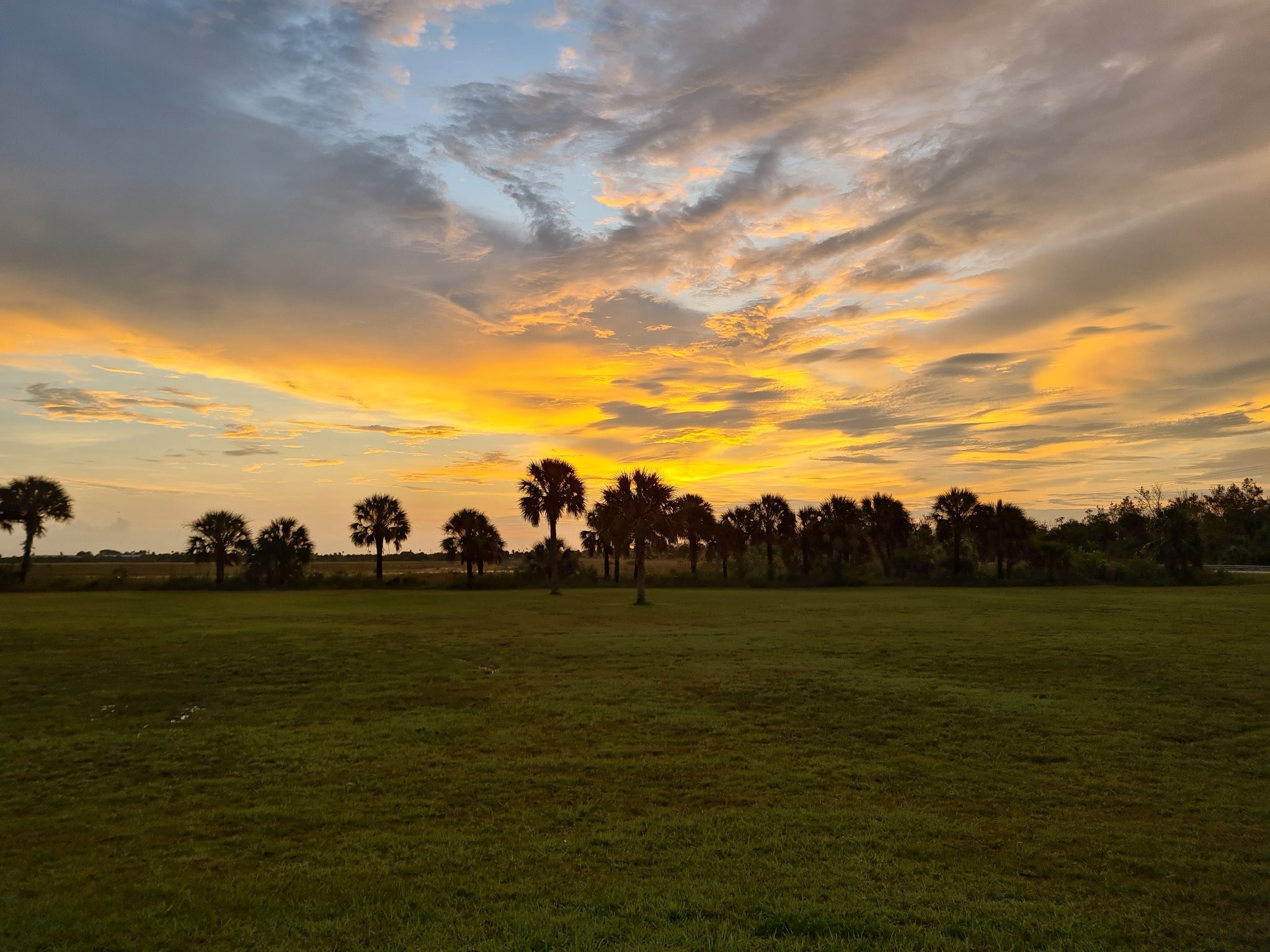 Sunset Everglades