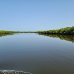 Caladesi Island Boat Trip