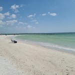 Honeymoon Island Florida