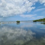 John Pennekamp Coral Reef State Park