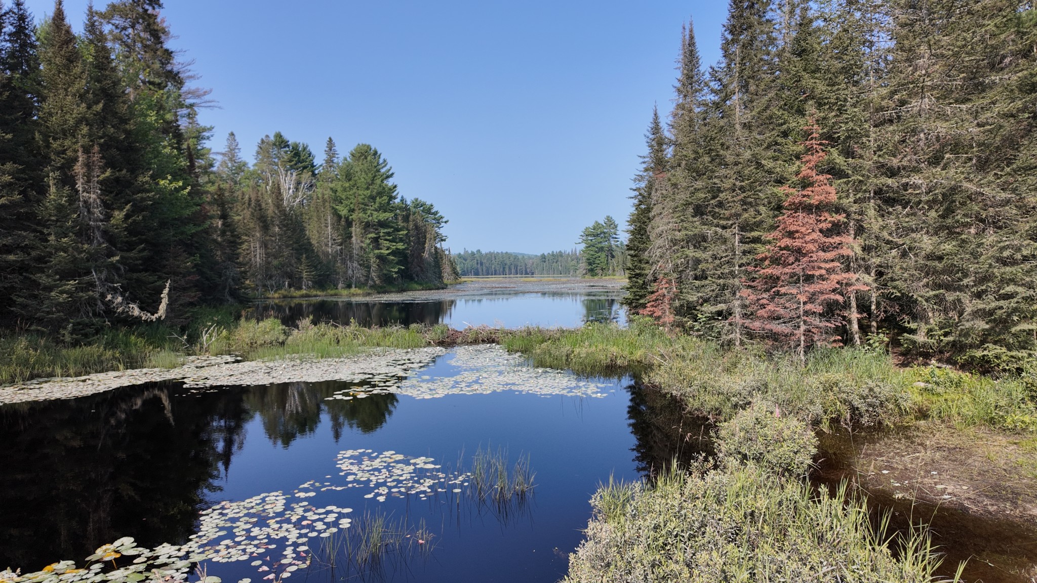 Algonquin Lakes
