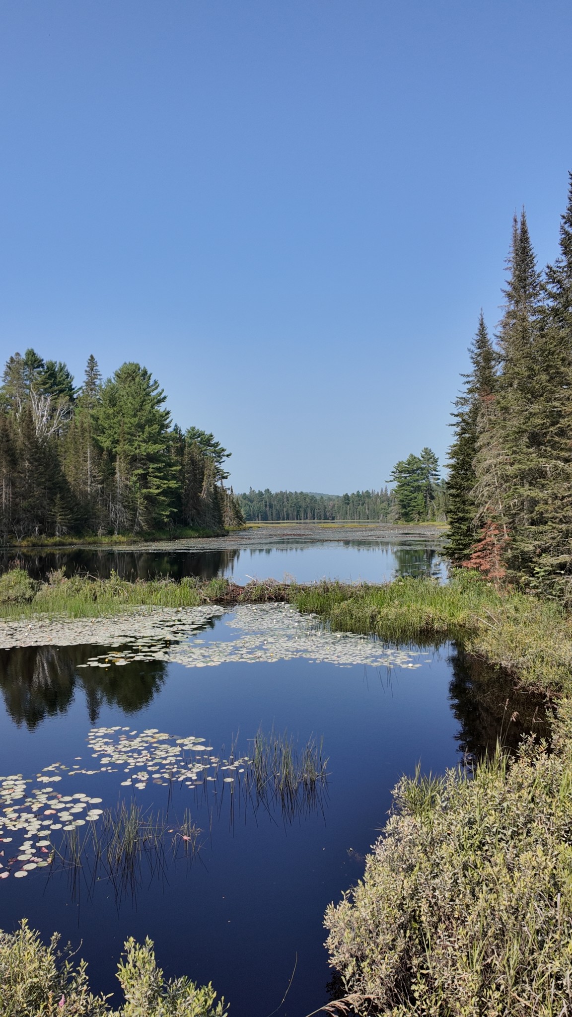 Lake at Algonquin