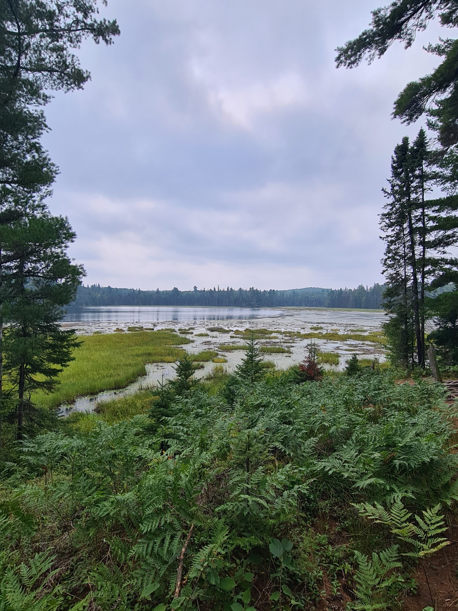 Mizzy Lake Trail Algonquin