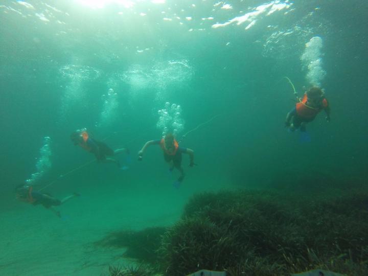 Tauchen ohne Tauchkurs mit Peter Diving, Tauchen auf Mallorca