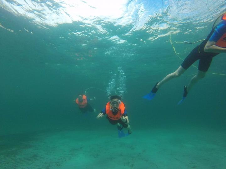 Tauchen auf Mallorca ohne Vorkenntnisse mit Peter Diving