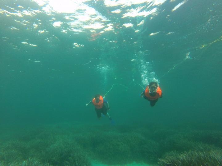 Tauchen auf Mallorca mit Peter Diving