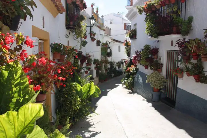 Canillas de Aceituno, Axarquia, Andalusien, Spanien, Malaga