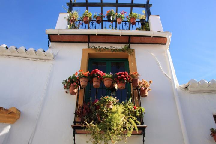 Canillas de Aceituno, Axarquia, Andalusien, Spanien, Malaga
