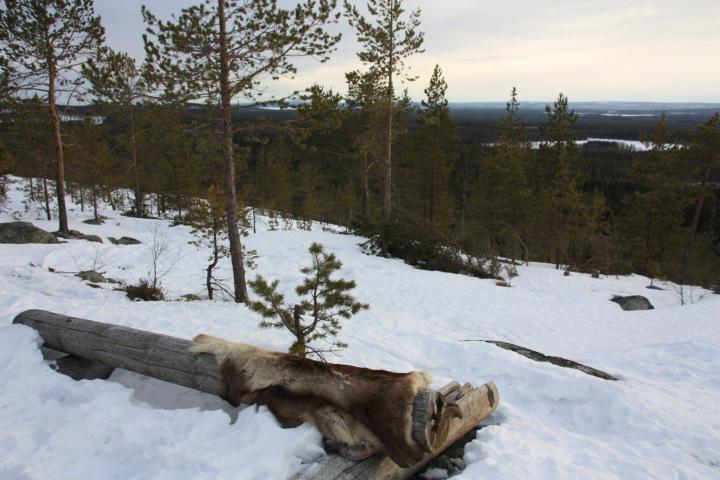 Schwedisch Lappland, Urlaub auf dem Bauernhof, Blick auf die Landschaft um Stormyrbergets Lantgard