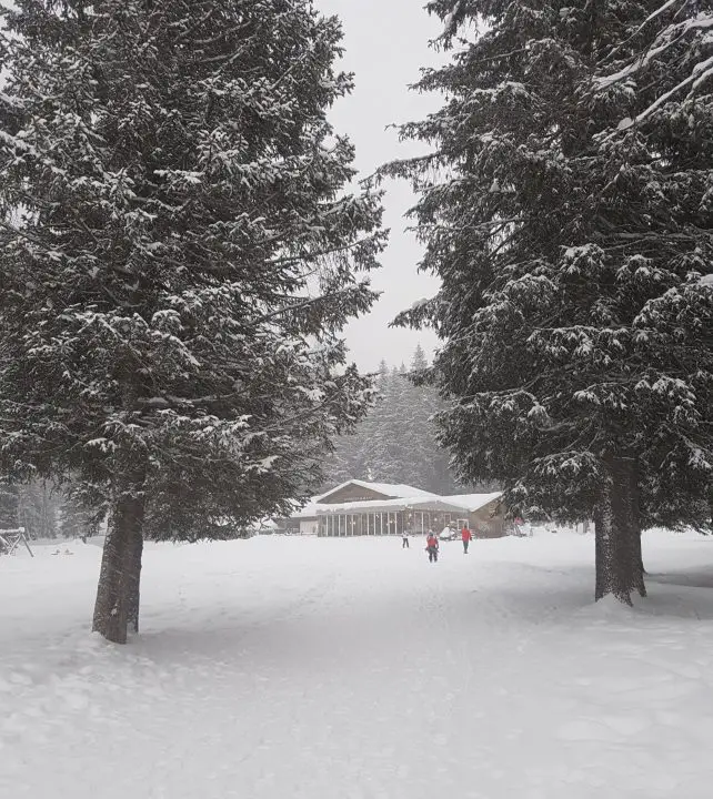 Platzl am See im Winter