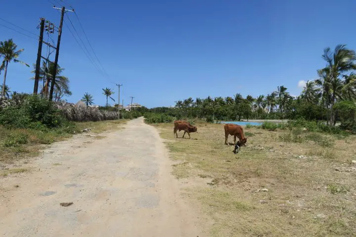 ASC Hotels Kenia, Park