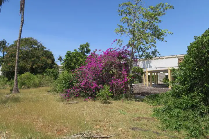 Lost Places, ASC Hotel, Kenia, Palm Beach Speisesaal