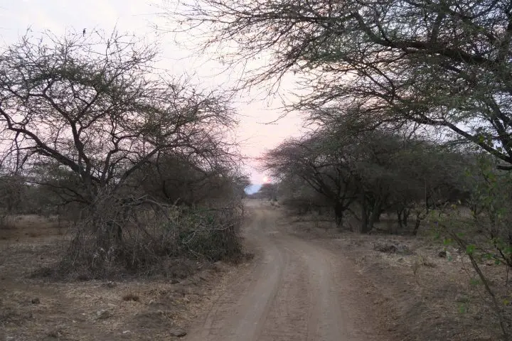 Pirschfahrt im Tsavo West Nationalpark, Kenia mit Kindern