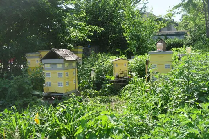 Bienenstock im Battery Park