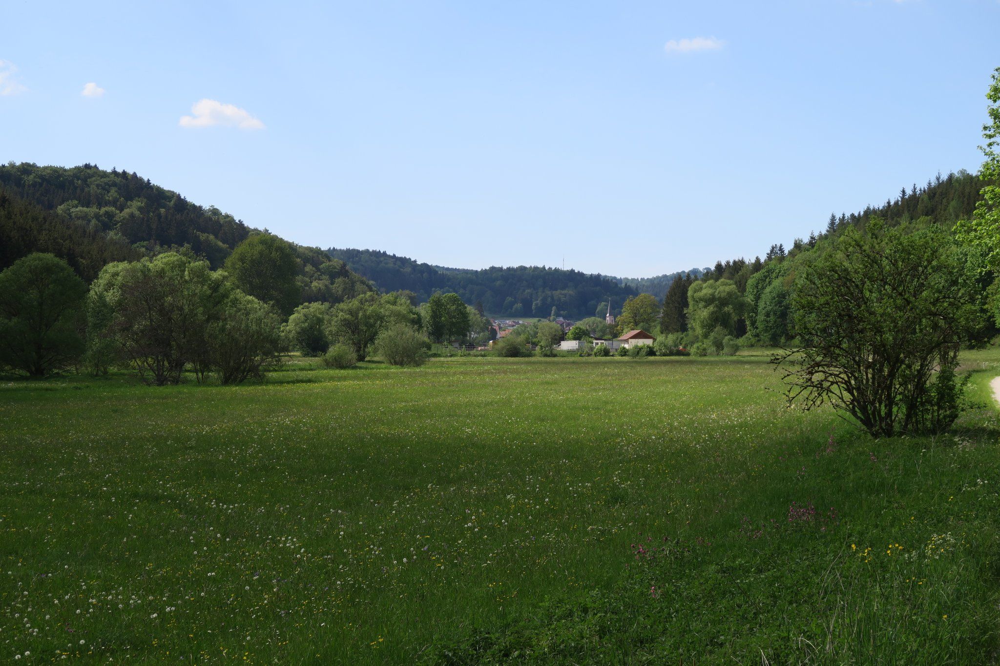 Blick vom Fehlatal auf Neufra