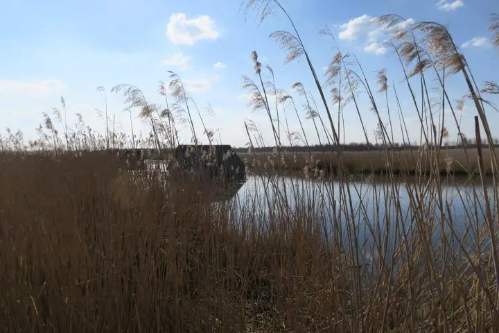 Bootshaus am Federsee