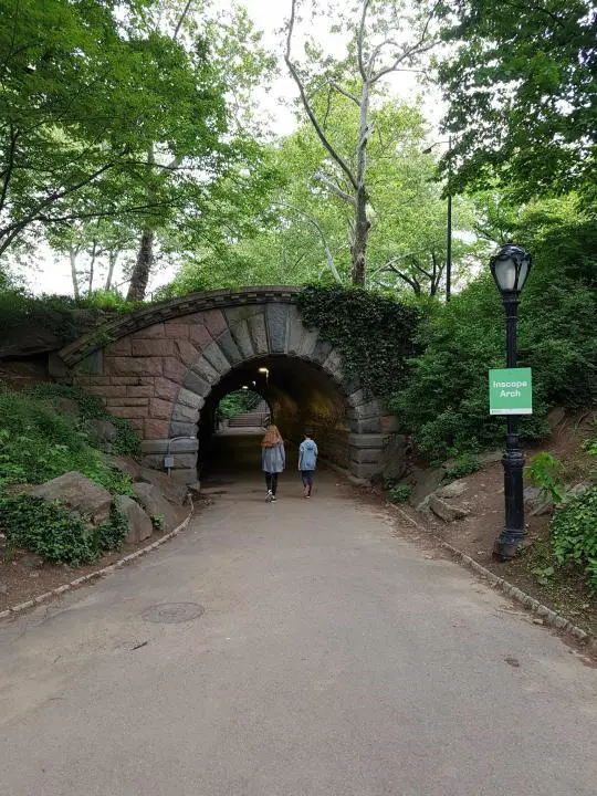 Brücke Central Park