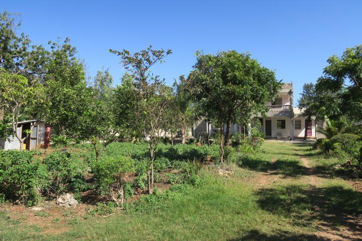 Der Gemüsegarten - im Hintergrund ist der Neubau zu sehen