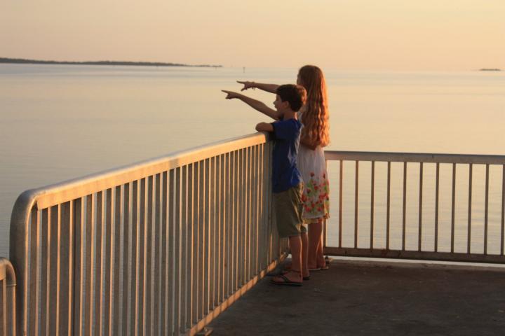 Kinder sehen Delfine auf Cedar Key