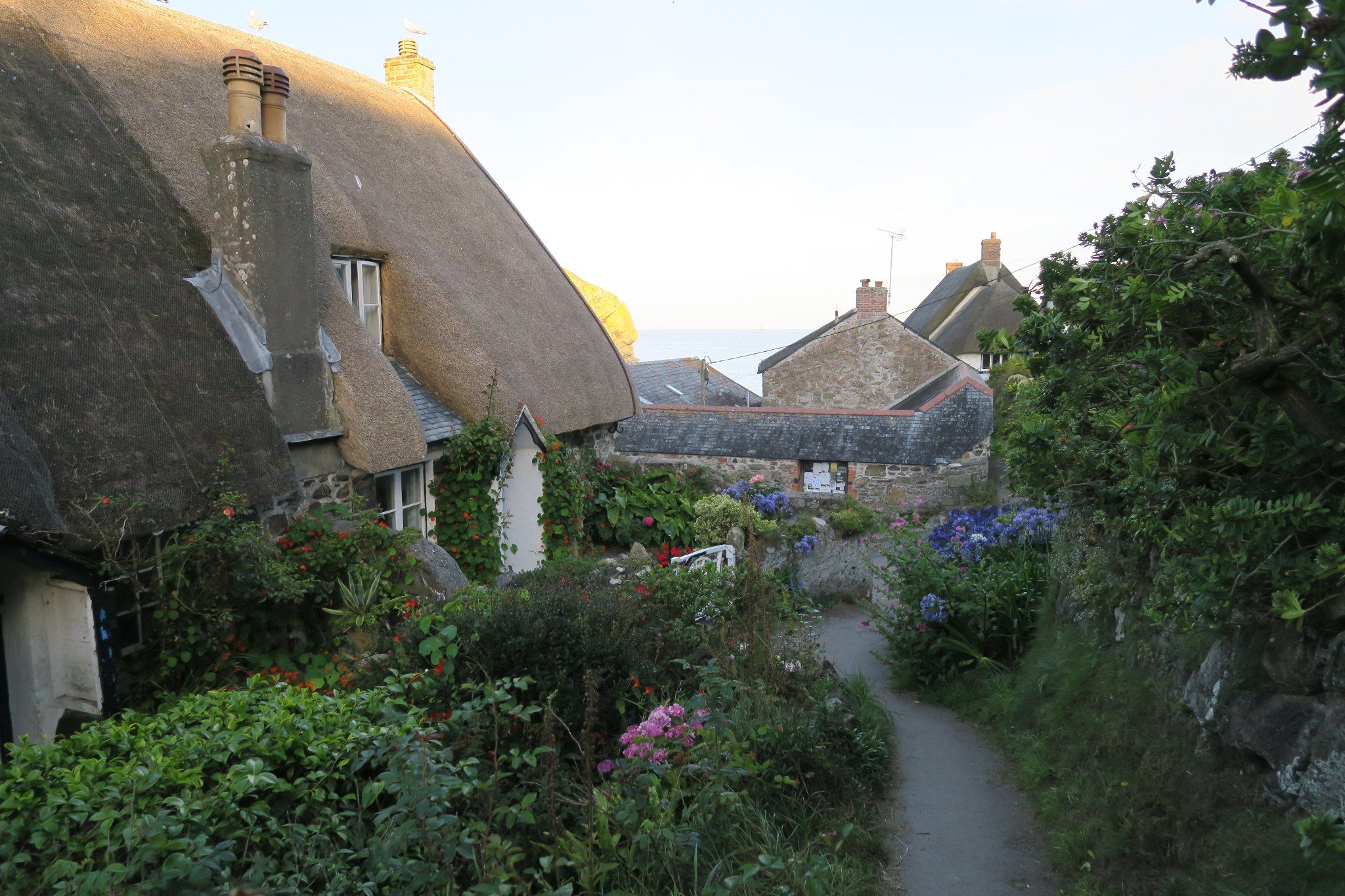 Schöne Cottages in Cadgwith