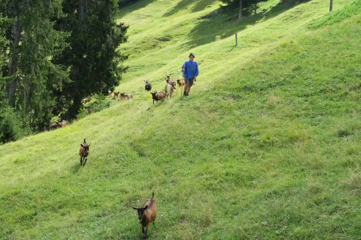Geissenpeter, Savognin mit Kindern, Graubünden mit Kindern