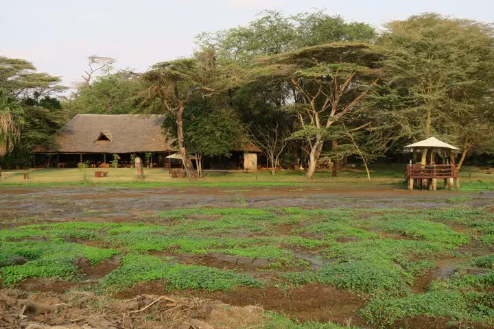 Tümpel vor dem Ziwani Camp, Kenia mit Kindern